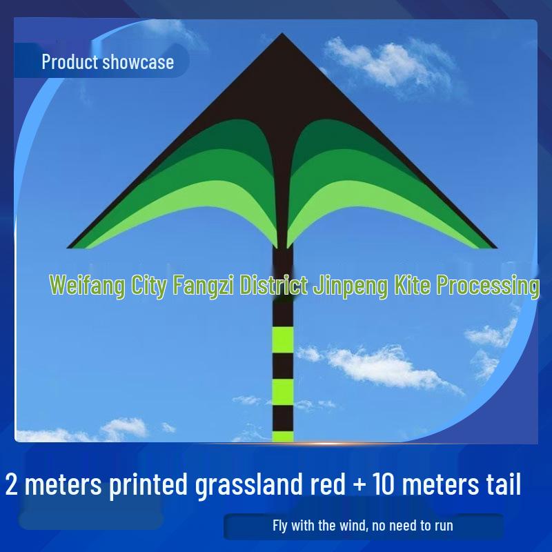 Great Plains Extra Large Rainbow Kite for Kids - Excellent Flying Cartoon Design