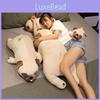 Dog Lying Pug Plush Toy Animal Stuffed Doll Pillow Cartoon Decoration Gift Kids