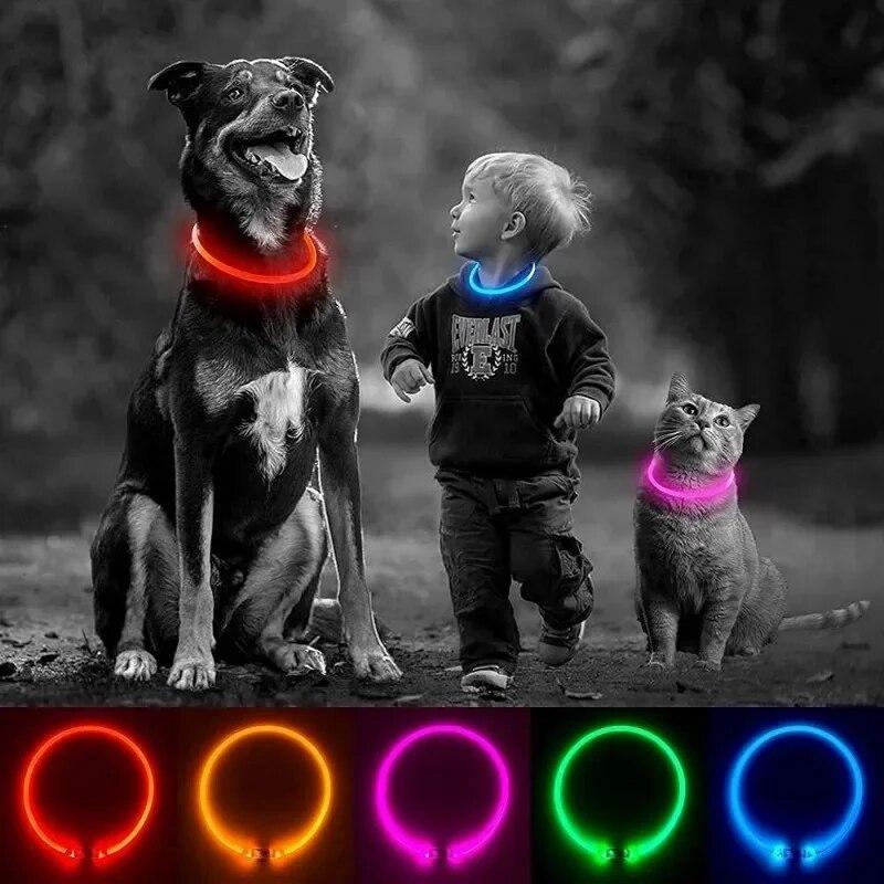 LED-Hundehalsband, leuchtendes USB-Hundehalsband für Katzen, 3 Modi, LED-Licht, leuchtendes Verlustpräventions-LED-Halsband für Hunde, Haustier-Hundezubehör