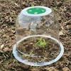 Transparent, Breathable Seedling Cover: Wind & Rainproof, Heat-Preserving Bell Cover for Fruits, Vegetables, & Flowers.