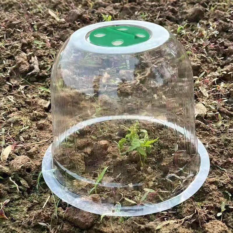 Transparent, Breathable Seedling Cover: Wind & Rainproof, Heat-Preserving Bell Cover for Fruits, Vegetables, & Flowers.