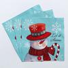 20pcs/Pac 33*33cm 2-Ply Disposable Party Napkin Christmas Pattern
