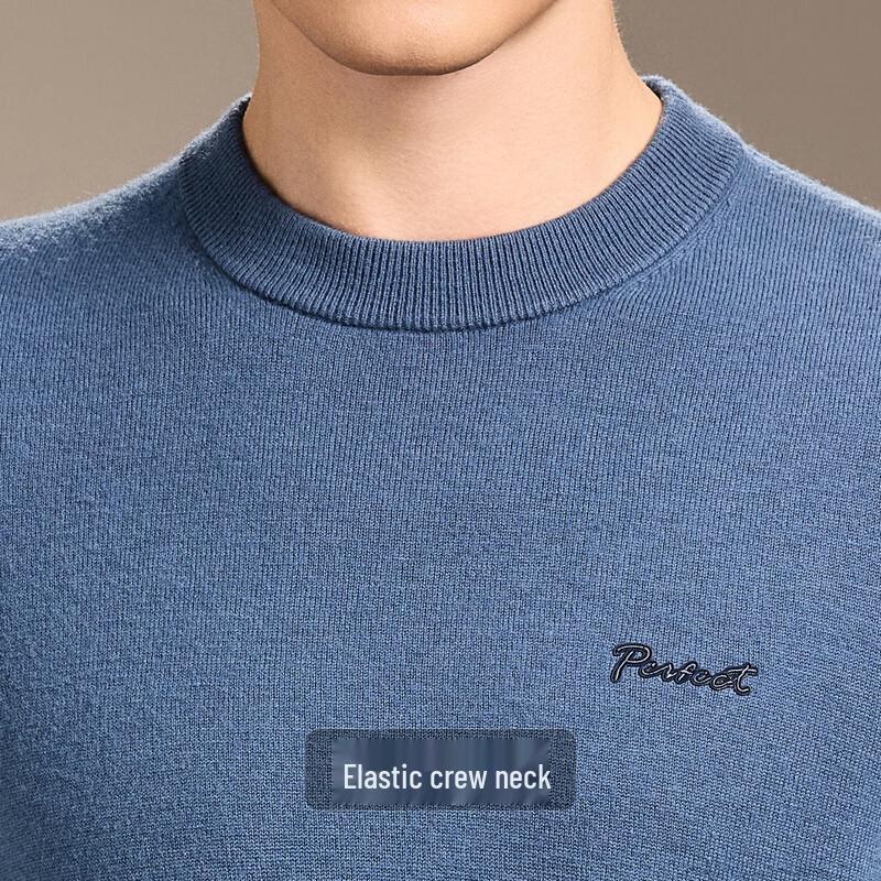 Antonio Men's 100% Lamb Wool Embroidered Round Neck Sweater