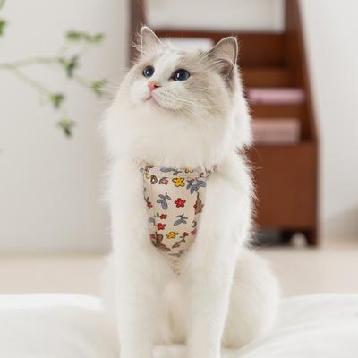 Kedi – Kediler için giyim