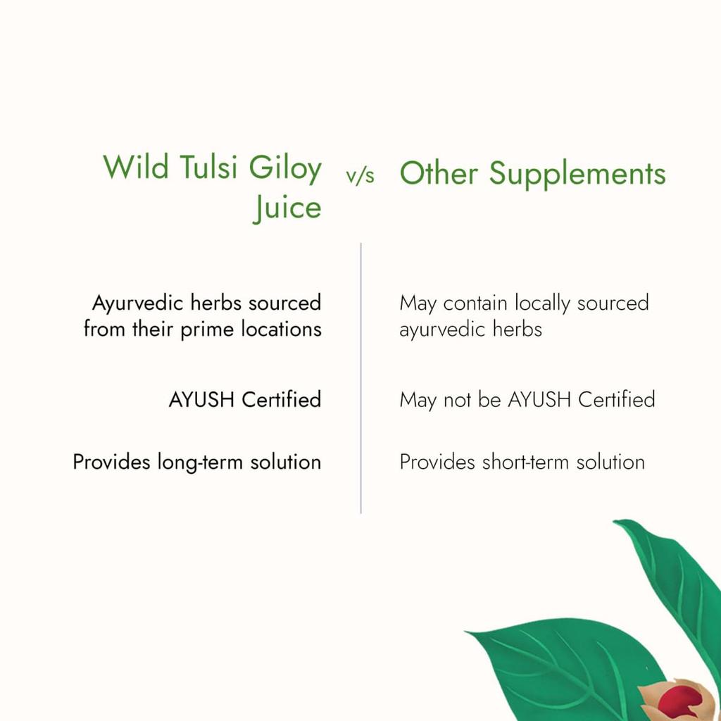Kapiva Wild Tulsi Giloy Juice 1L Pack of 1 | Ayurvedic Daily Wellness & Immune Support Drink from Fresh Plants