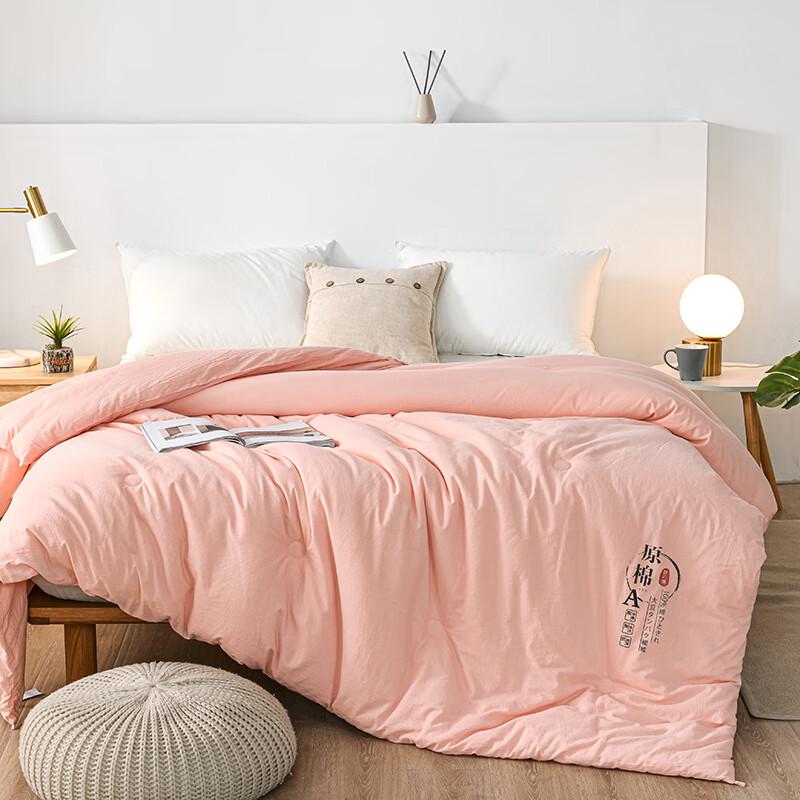 Gong Xian Sheng Soybean Fiber Winter Duvet