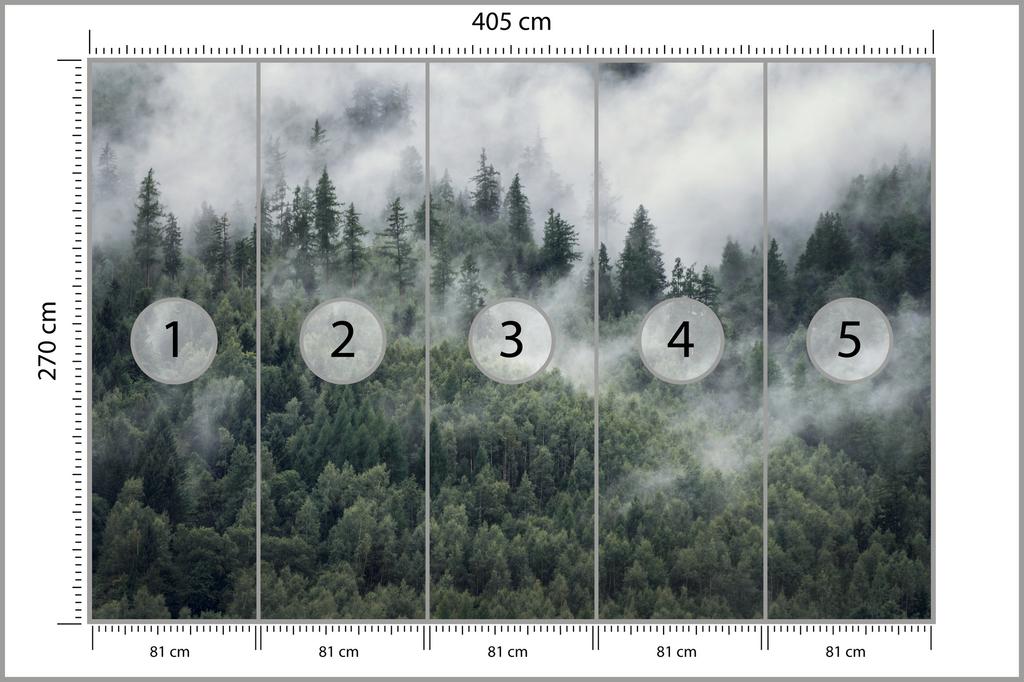 Photomural Forest In The Morning Mist Structural Vinyl 405x270