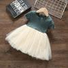Girls Summer Dress Princess Dress Short Sleeved Gauze Striped Dress Cute A-line Mesh Dress