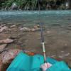 FINNECT Stream Fishing Telescopic Fishing for Stream Rainbow 150cm Rod, Rod, 1.5m, Fishing/River Fishing, Trout, Yamame, Iwana, Trout, Amago,