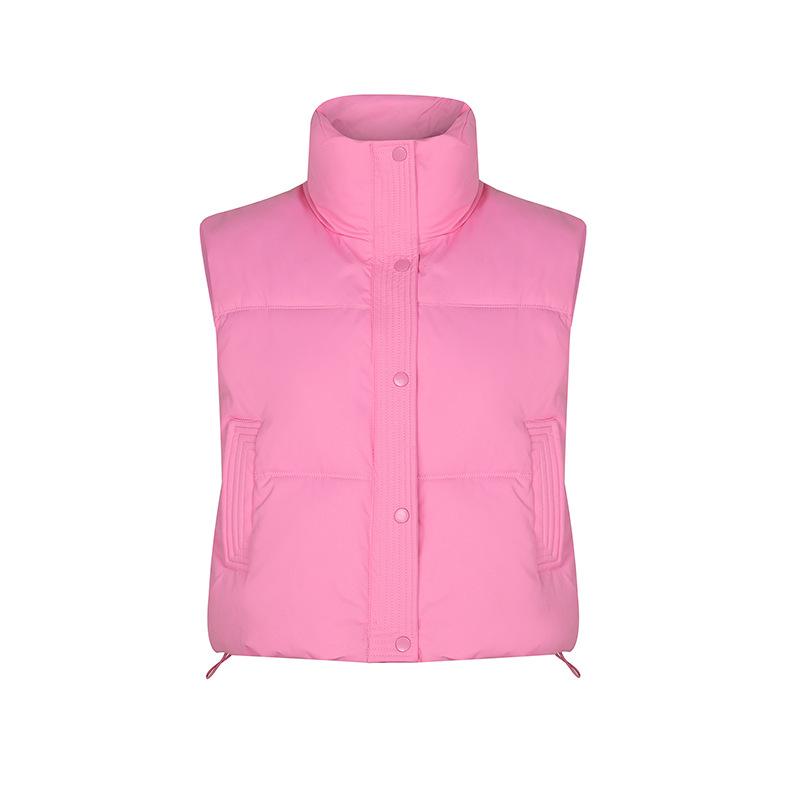 Autumn and Winter Foreign Style Loose and Versatile Sleeveless Short Stand-up Collar Down Cotton Vest Women's Design Vest Jacket