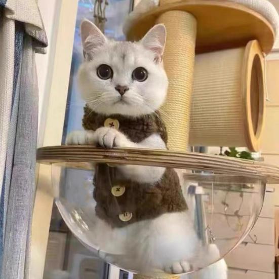 Fluffy Cat Vest Warm Sleeveless Winter Coat Pet Apparel Button Closure Kitten Puppy Outfit for Outing Daily Wear Party Costume Photography