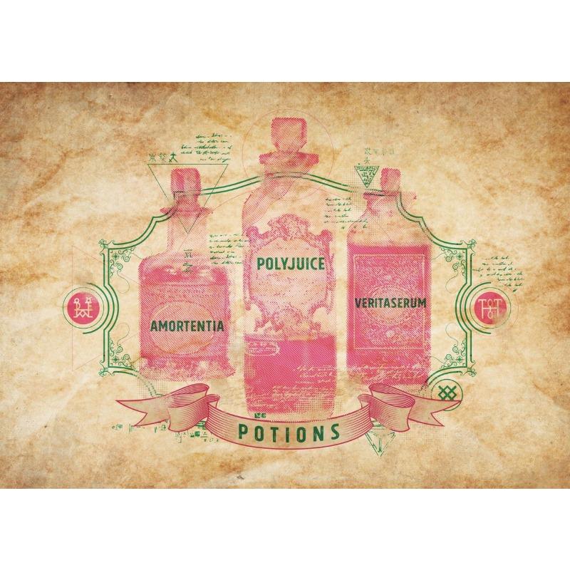 Vintage Wizarding-World Magical Chart Poster Wands Divination Magic School Canvas Painting Wall Art Dark Academy Dorm Home Decor