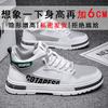 Spring Martin Boots High-top Little White Board Shoes New Summer Leisure Sports High-tide Shoes