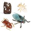 Oenux Simulation Luna Moth Salmon Butterfly Ants Life Growth Cycle Animals Model Action Figures Educational Miniature Kids Toy