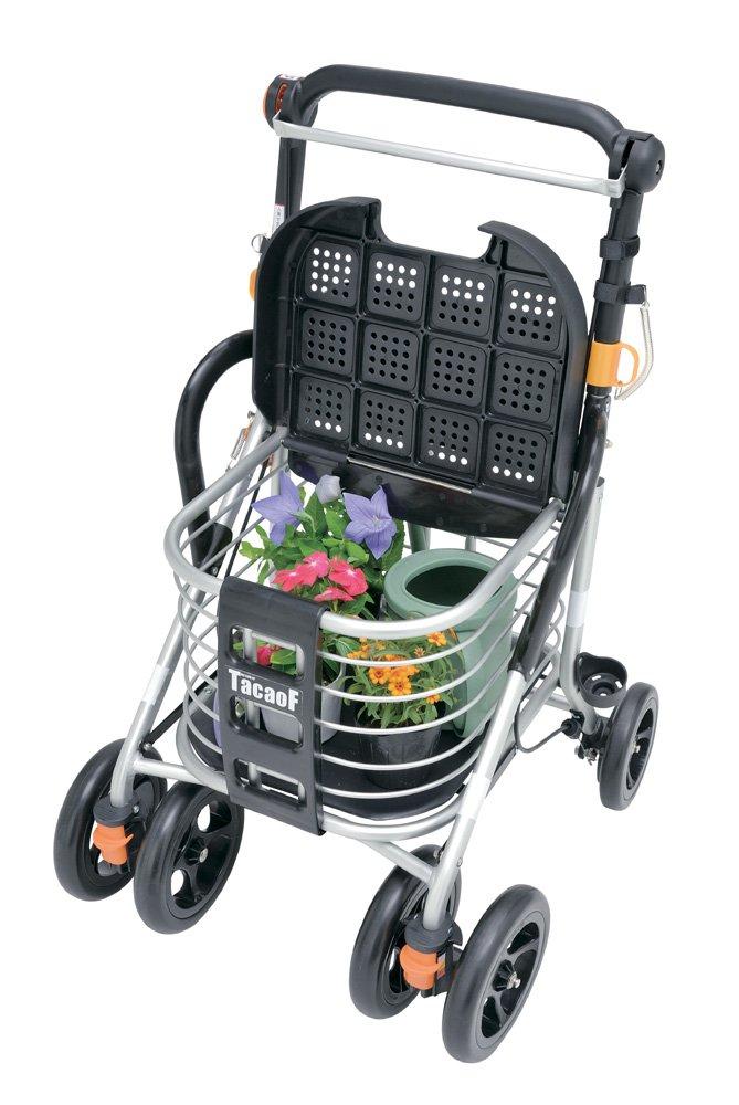 WS01 Silver Car Standard Type Teikobu Borsa