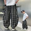 Boys' Summer Plaid Pants Thin Loose Casual Pants Trendy and Cool Mosquito Repellent Pants