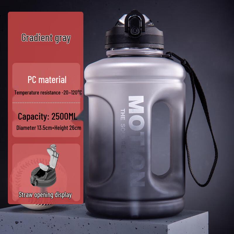 Nu Feng Large Capacity Fitness Sports Water Bottle with Straw