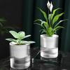 1/2Pcs Self Watering Pot with Drainage Holes Transparent Reservoir Indoor Outdoor Plants Planting Pot Herbs Succulents Flower Planter with Wick Rope