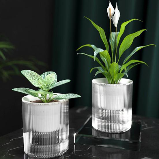 1/2Pcs Self Watering Pot with Drainage Holes Transparent Reservoir Indoor Outdoor Plants Planting Pot Herbs Succulents Flower Planter with Wick Rope