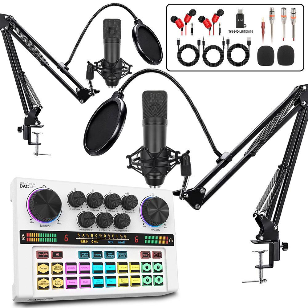 Y200 48V Zvuková karta & Rameno s mikrofonem pro živé vysílání & Podcasting