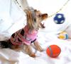 Durable Sounding Dog Toy Ball for Small to Large Dogs - Educational Training Pet Supplies