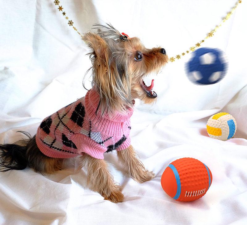 Durable Sounding Dog Toy Ball for Small to Large Dogs - Educational Training Pet Supplies