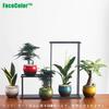 FaceColor Glazed Succulent Size Stylish Ceramic Glazed Set of 10cm Diameter x with Drainage and Bottom Net Not Pots, 3, Japanese-Style Planter,