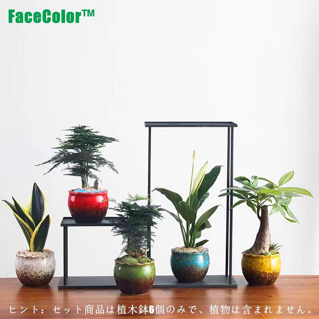 FaceColor Glazed Succulent Size Stylish Ceramic Glazed Set of 10cm Diameter x with Drainage and Bottom Net Not Pots, 3, Japanese-Style Planter,