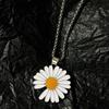 Trendy Daisy Titanium Steel Necklace: Unisex Hip-Hop Flower Pendant Inspired by G-Dragon