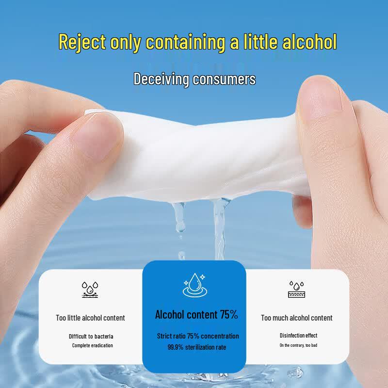 Litmi 75% Alcohol Disinfectant Wipes