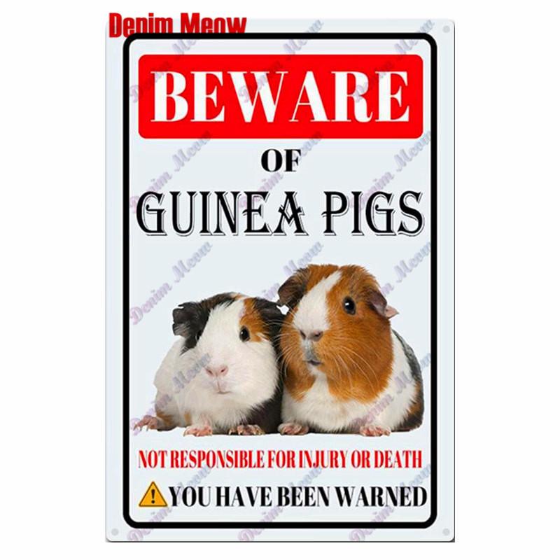 Vintage Beware of Dog, Metal Sign, Warning Danger, Protected Pit Bull Dog, No Bal, Wall Decor, Private Area Decoration, WY45