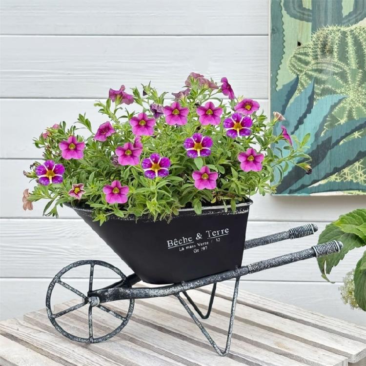 Retro Iron Planter Flower Container Wheelbarrow Flowerpot For Entrance Living Room Garden Patio Yard And Balcony Display
