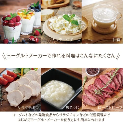 Dadaz Yogurt Maker Container 1L