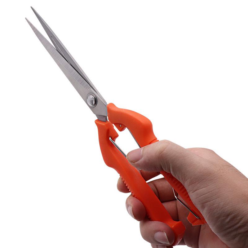 245mm Black Goji Berry Pruning Shears - Extended Fruit Picking Garden Scissors
