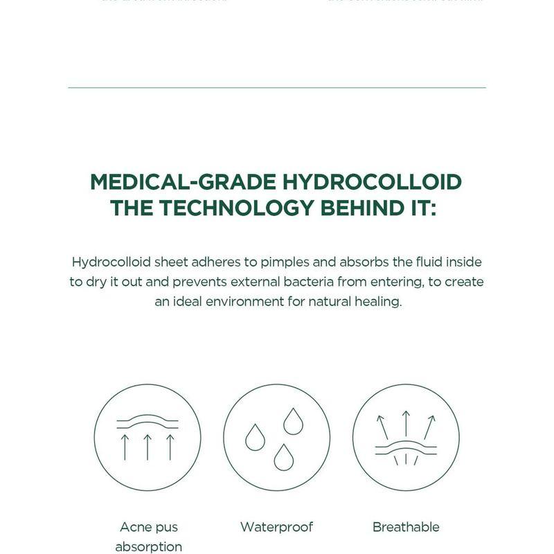 SKIN 1004 - Spot Cover Patch