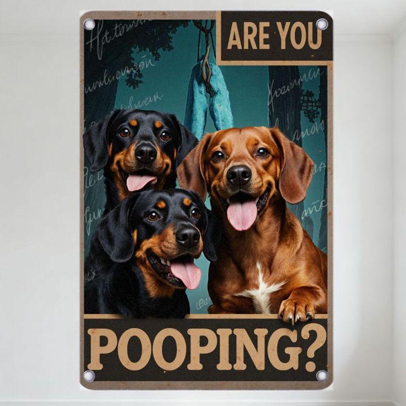 

Vintage Rustic Are You Pooping Metal Sign with 3 Happy Dachshunds, Hanging Cloths & Dreamer Autumn Sunset Teal Backdrop 20x30cm（7.8x11.8inch）