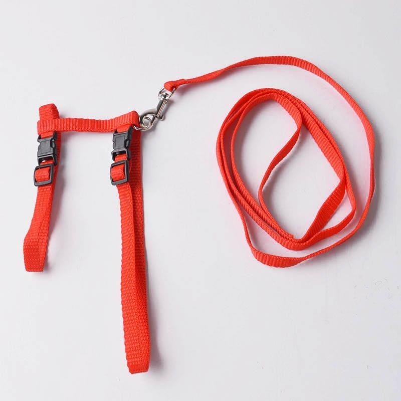 Verstellbarer Haustier-Traktionsgürtel, Katzenhalter, kleines Haustier-Hundegeschirr und Leine-Halsband