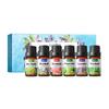 10ml*6