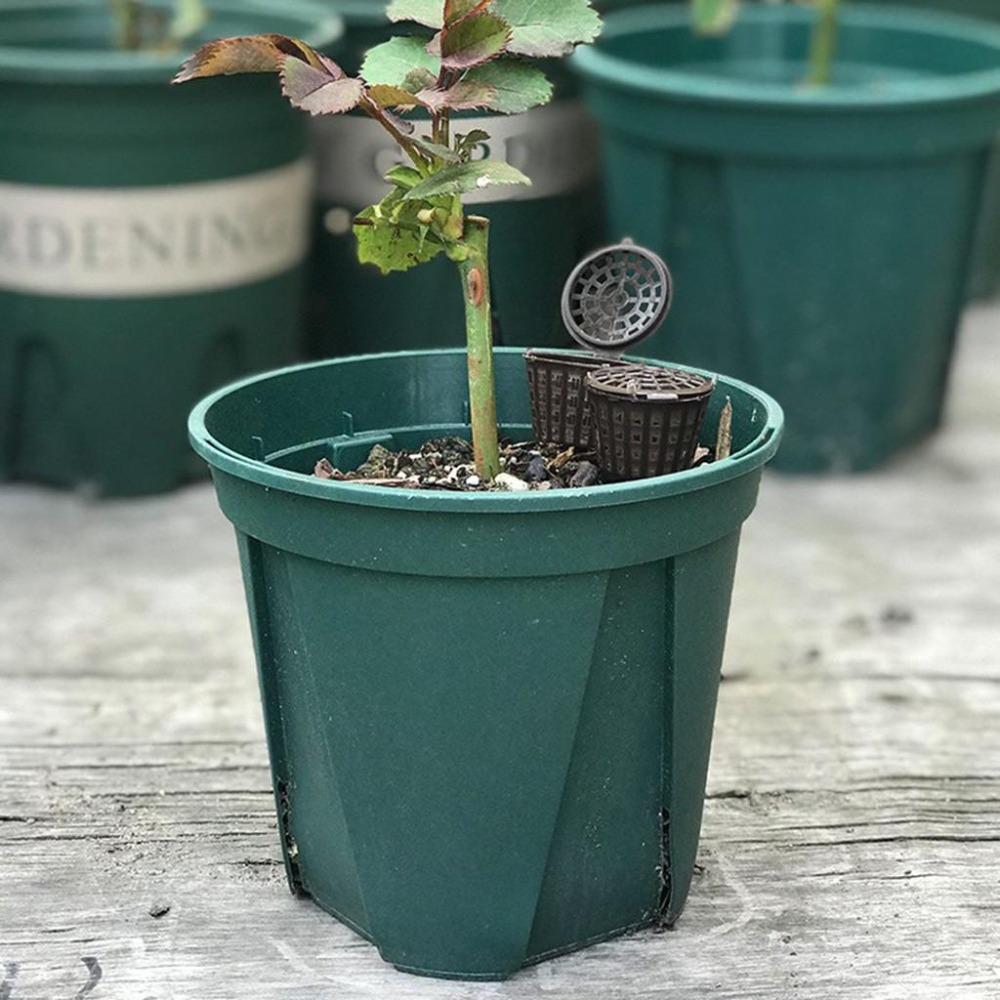 10Pcs/Set Plant Fertilizer Baskets With Lid Orchid Cultivate Park Root Nursery Pots Bonsai Portable Automatic Fertilizer Pot Box