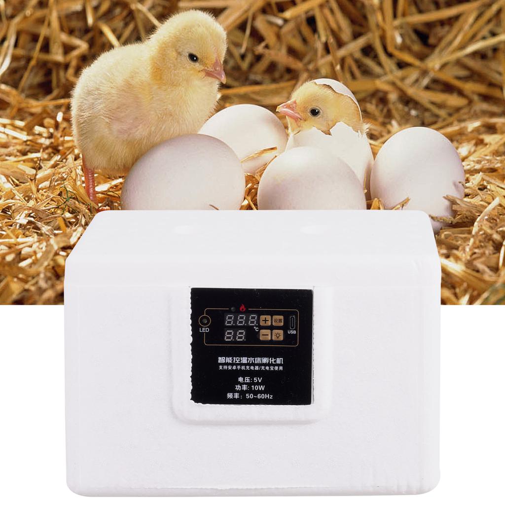 24-Hour Thermostatic Egg Incubator 220V Digital Temperature Control Manual Turning Poultry Hatcher with Biomimetic Waterbed