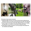 2 Dog Retractable Leash 360° Rotation Double Headed Dog Leash with LED Light 3 Meters Black