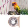Stainless Steel Parrot Feeding Box for Cockatoo Mini Macaw Cockatiel Conure Intelligent Bird Feeder Puzzle Food Dispenser S Size