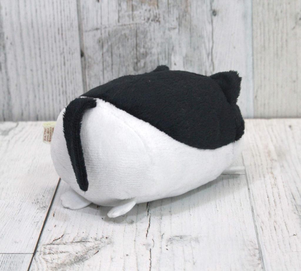 Shinada Nokkete Nyanko (Hachiware) Plüschtier, 7 x 10 x 6 cm, Tier-Merchandise, NKNK-0068H