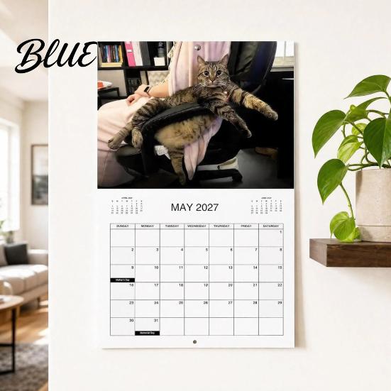 Office Wall Calendar 2027 Funny Calendar January Photos 2027 with Cat - December Monthly Planner