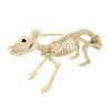 Halloween Decoration Mini Skeleton Bone Statues Poseable Rat Dog Spider Cat Owl Skeleton Figurine for Haunted House Party Decor