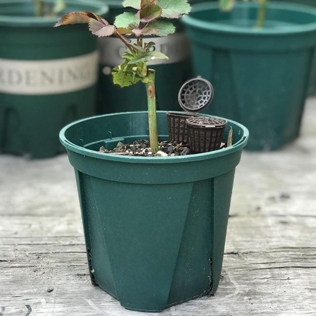 50Pcs Bonsai Fertilizer Baskets, 1.6 x 1.1in Plastic Fertilizer Mesh Basket Garden Nutrition Cups Slow Release Fertilizer Container for Succulent