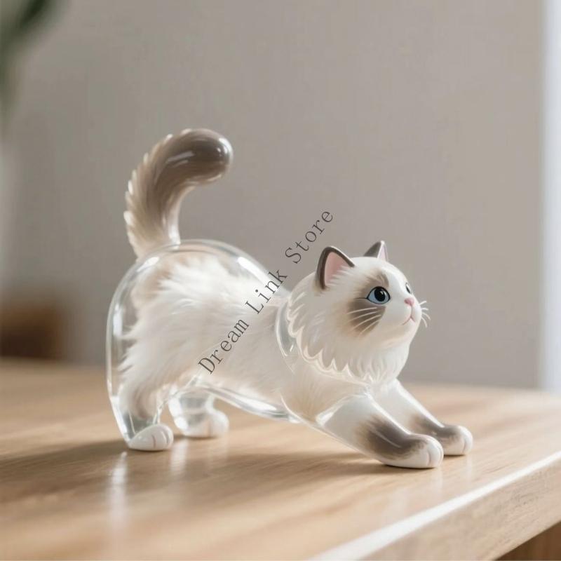 Creative Cats Hair Keepsakes Display Box For Pet Lover Gift Plastic Clear Decorative Container To Preserve Furs Memory