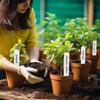 100PCS hot-selling plant label number plate garden green plant gardening succulent potted plant planting record card punching sign