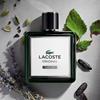 Lacoste Original Parfum 100 ml (man)