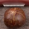 Casse-marron Décortiqueur de marrons Poignée compacte ergonomique Polyvalent Robuste Décortiqueur de marrons solide Pour fruits secs